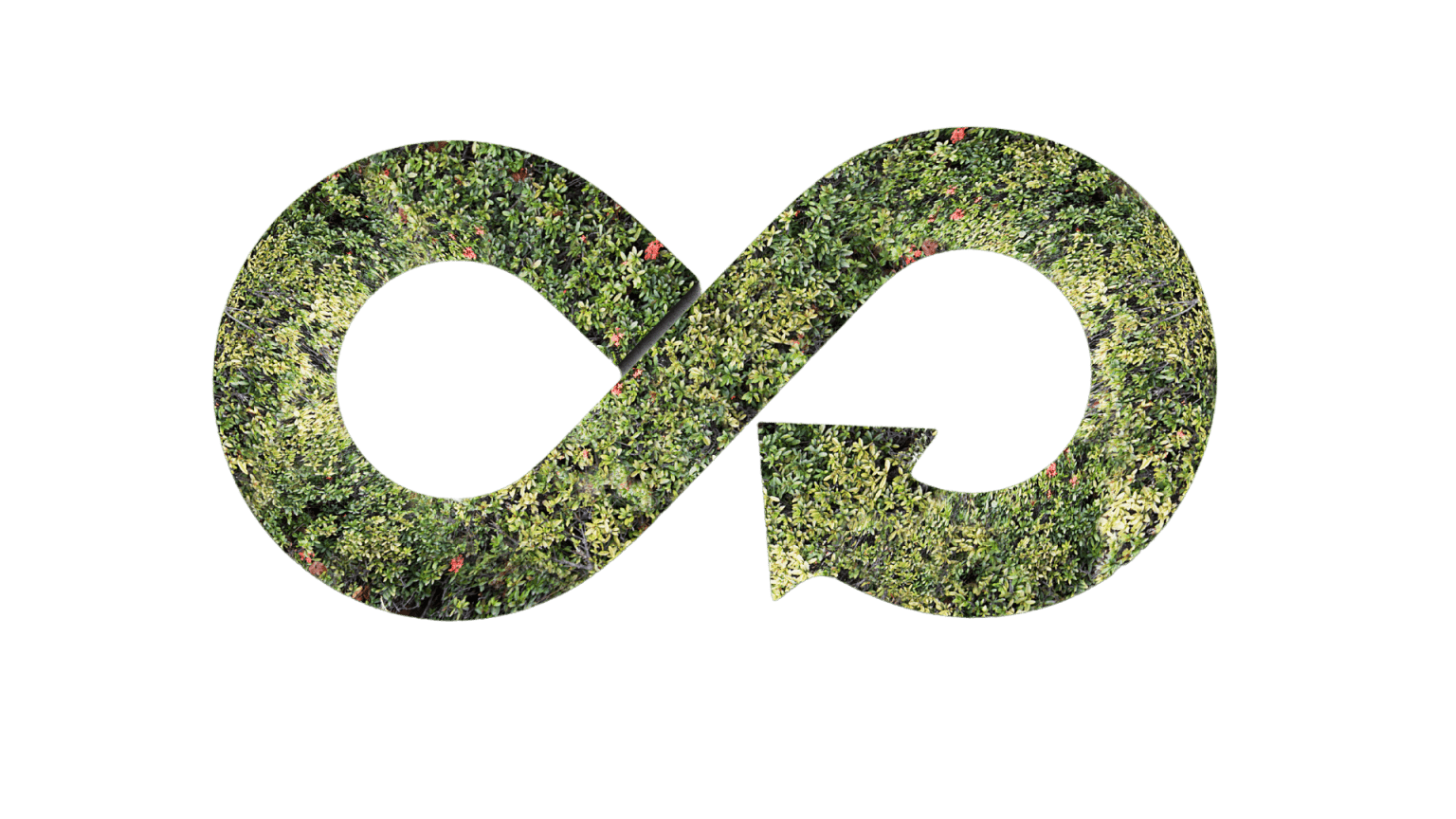 Nature-based Solutions 2022